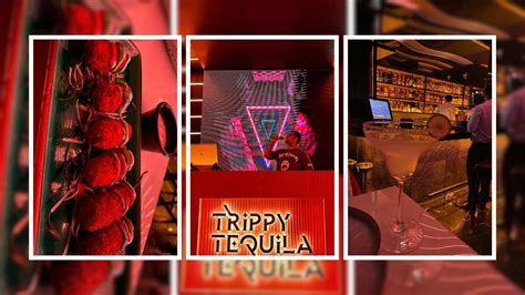 kozeba|Trippy Tequila, Gurugram